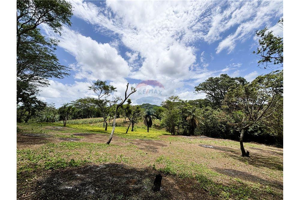 Land - For Sale - Dolores, Carazo, Nicaragua - 1 - 902521001-24