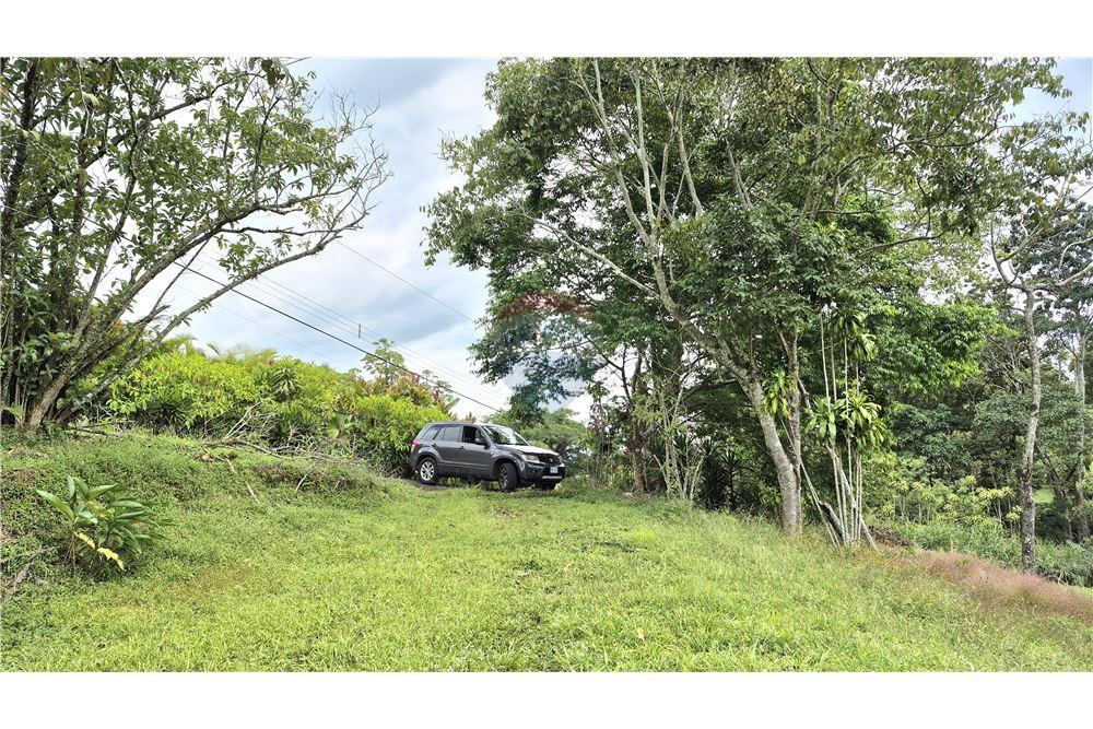 Comercial - Terreno - Atenas, Alajuela- Atenas, Costa Rica - Caribbean & Central Ameri - 9 - 90128007-195