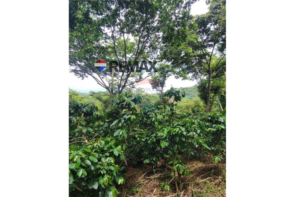 Grondstuk - Te Koop - San Martín, San Salvador, El Salvador - 9 - 902501008-22