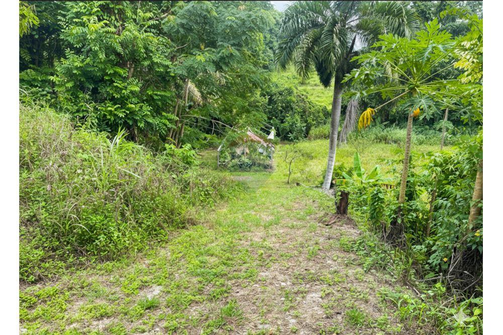 Land - For Sale - Vega Baja, Vega Baja, Puerto Rico - 3 - 90156053-35