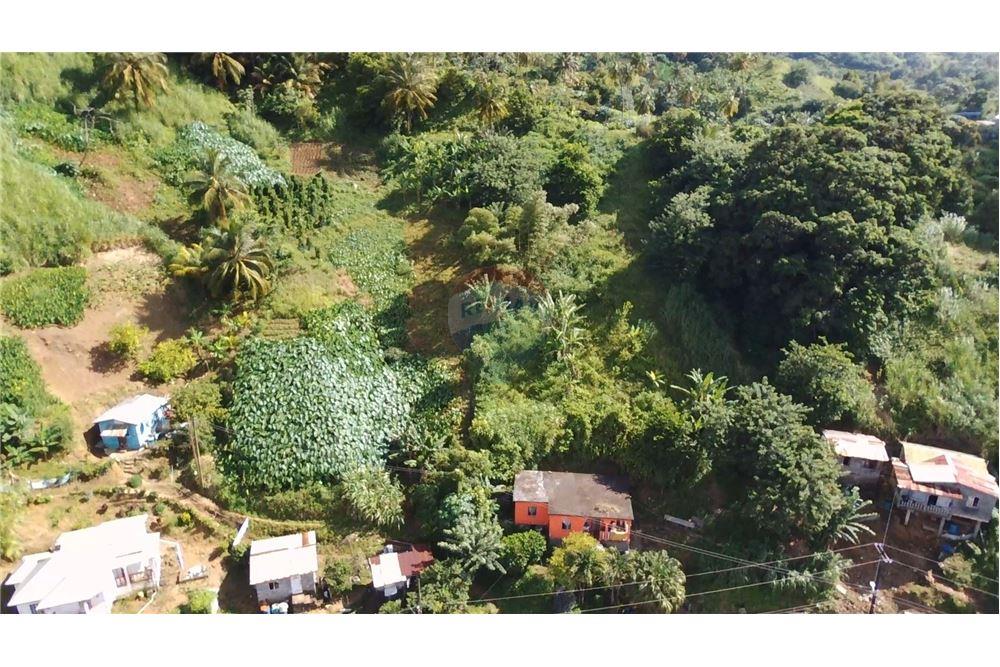 商业 - 土地 - Lowmans Windward, St Vincent, St Vincent and the Grenadines - Caribbean & Central Ameri - 11 - 90109001-320