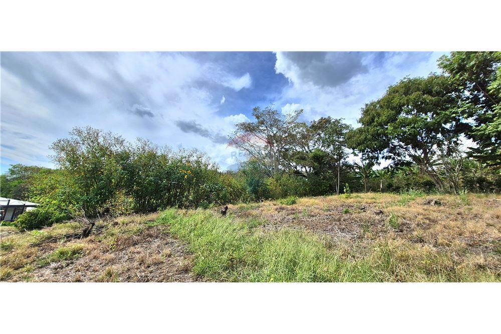 Commercieel - Grond - Atenas, Alajuela- Atenas, Costa Rica - Caribbean & Central Ameri - 1 - 90128007-198