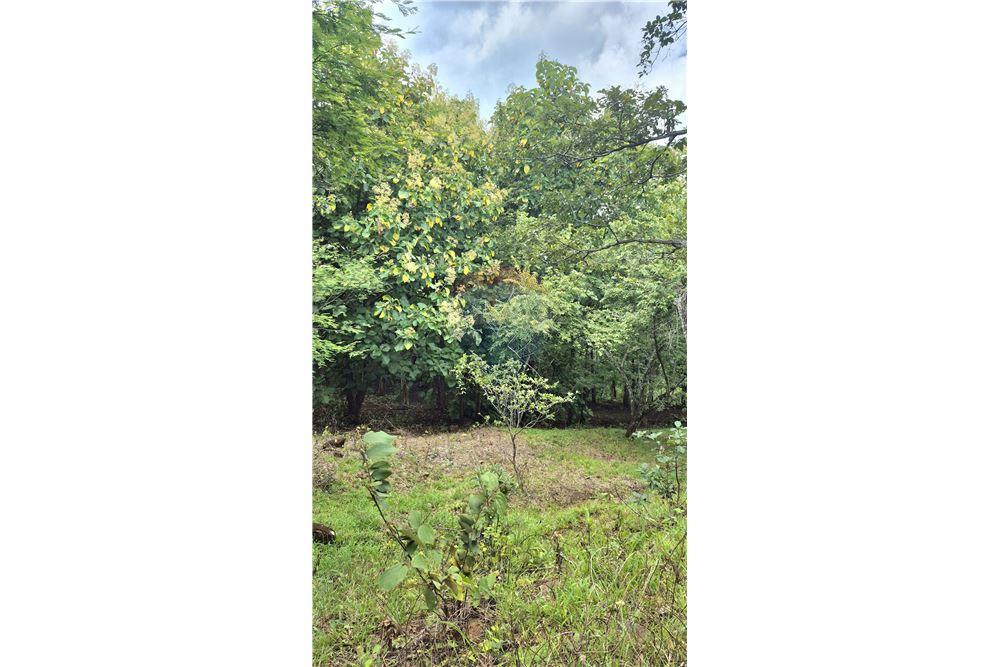 Commercial - Land - Atenas, Alajuela- Atenas, Costa Rica - Caribbean & Central Ameri - 16 - 90128007-183