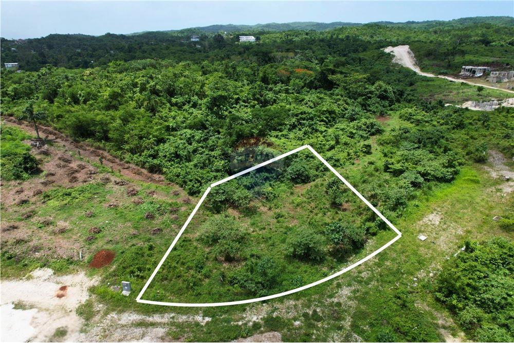 Land - For Sale - Negril, Westmoreland, Jamaica - 3 - 902421019-4