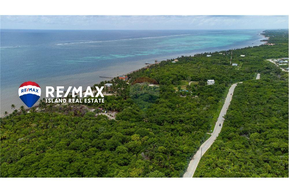 Commercial - Land - Ambergris Caye, Ambergris Caye, Belize - Caribbean & Central Ameri - 6 - 90135004-98