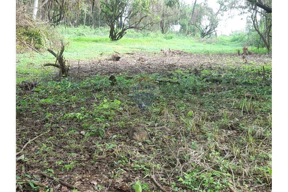 Grondstuk - Te Koop - Escuintla, Escuintla, Guatemala - 2 - 902691005-34