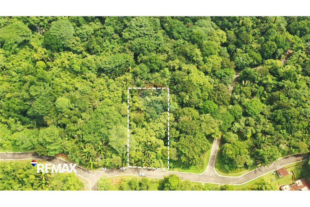 Commercial - Land - Parrita - Esterillos, Puntarenas - Parrita, Costa Rica - Caribbean & Central Ameri - 1 - 90168041-16