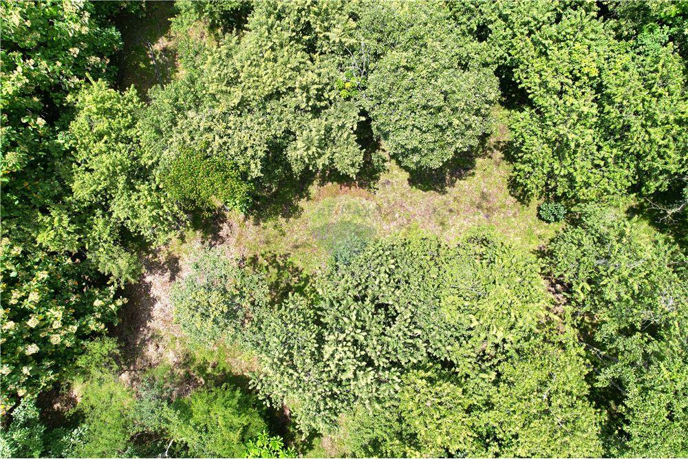 Commercial - Land - Atenas, Alajuela- Atenas, Costa Rica - Caribbean & Central Ameri - 19 - 90128007-183