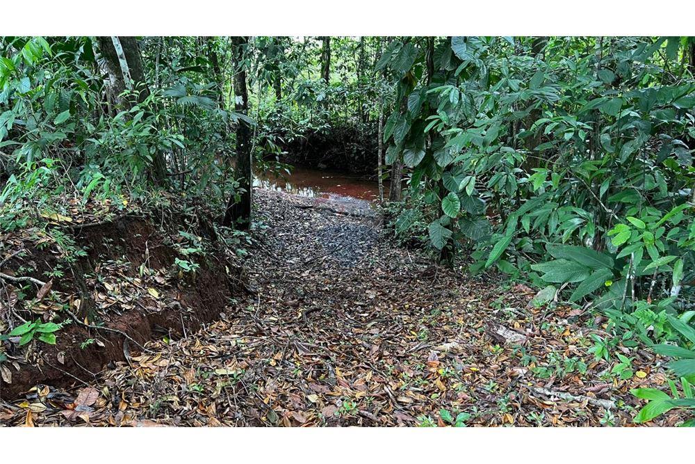 Commercial - Land - Bijagual, Puntarenas, Costa Rica - Caribbean & Central Ameri - 21 - 90168042-14