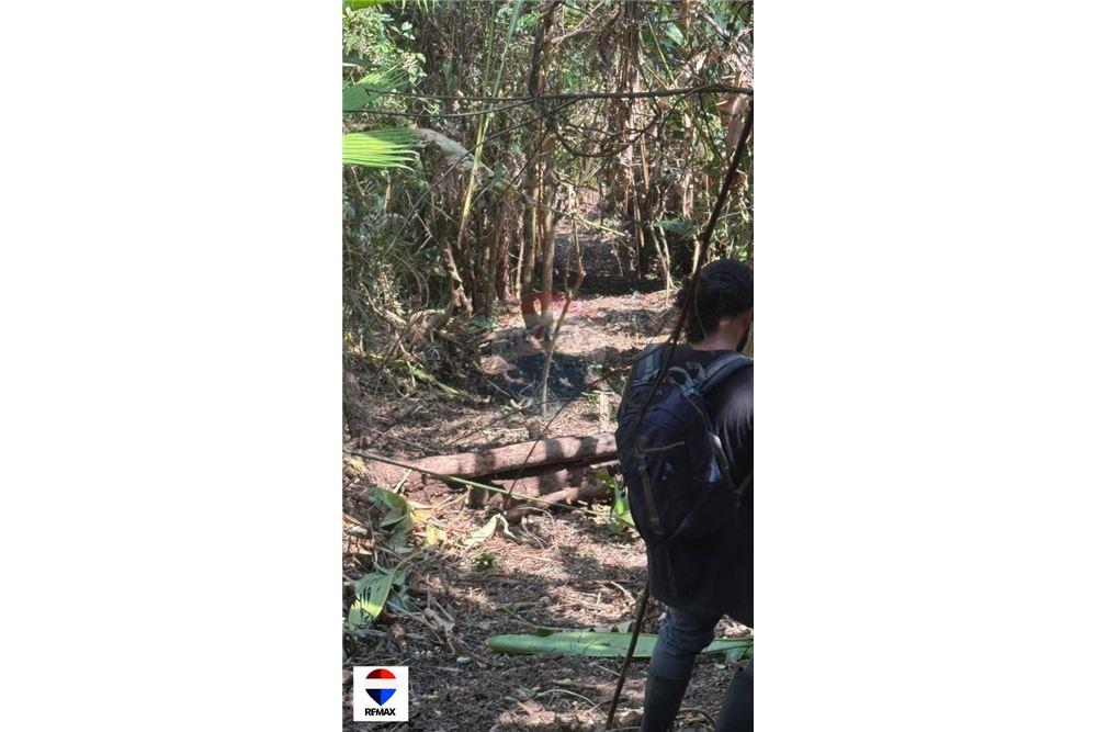 Comercial - Terrenos - Tarcoles - Quebrada Ganado, Puntarenas- Garabito, Costa Rica - Caribbean & Central Ameri - 6 - 90168030-59