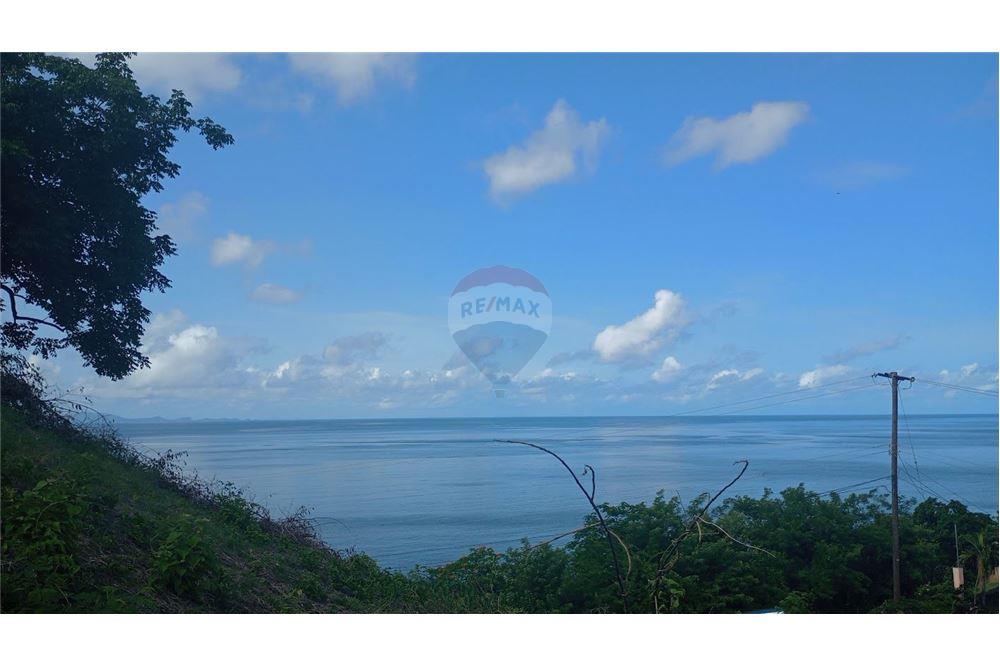 商业 - 土地 - Layou, St Vincent, St Vincent and the Grenadines - Caribbean & Central Ameri - 1 - 90109008-6