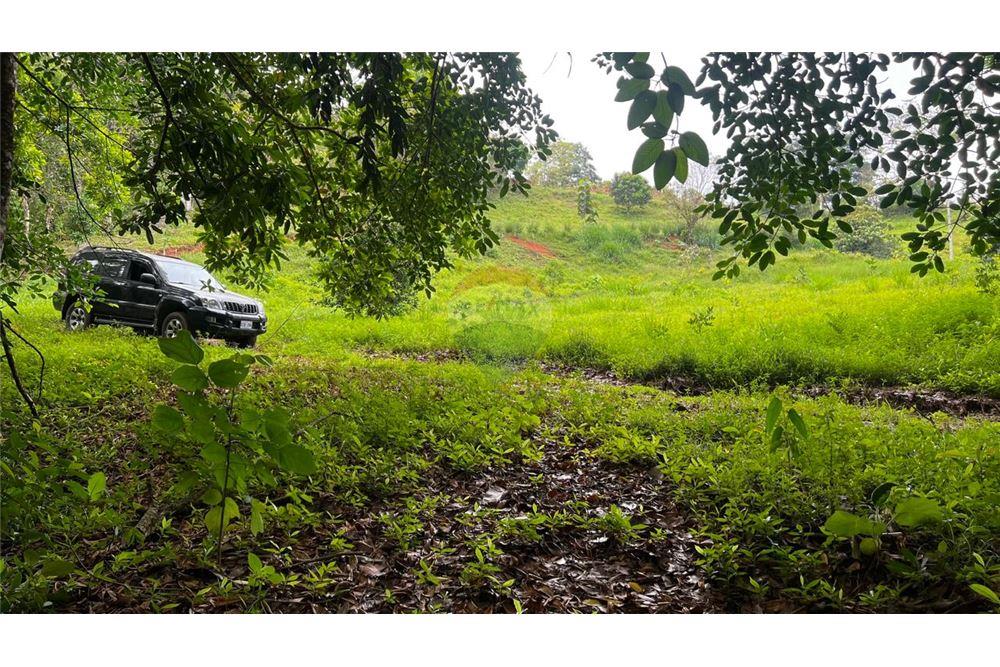 Commercial - Land - Bijagual, Puntarenas, Costa Rica - Caribbean & Central Ameri - 23 - 90168042-14