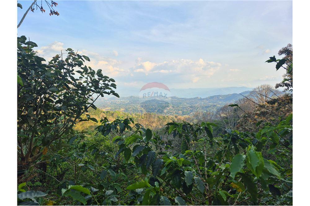 Commercial - Land - Atenas, Alajuela- Atenas, Costa Rica - Caribbean & Central Ameri - 6 - 90128007-166