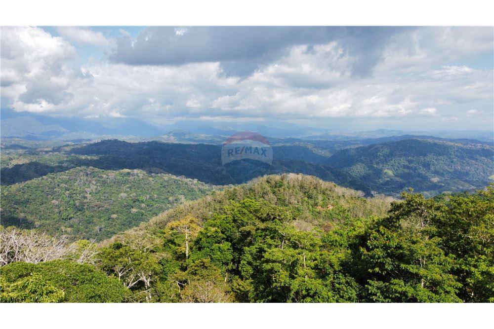 Surface commerciale - Autre terrain - San José, San José, Costa Rica - Caribbean & Central Ameri - 16 - 90168030-68