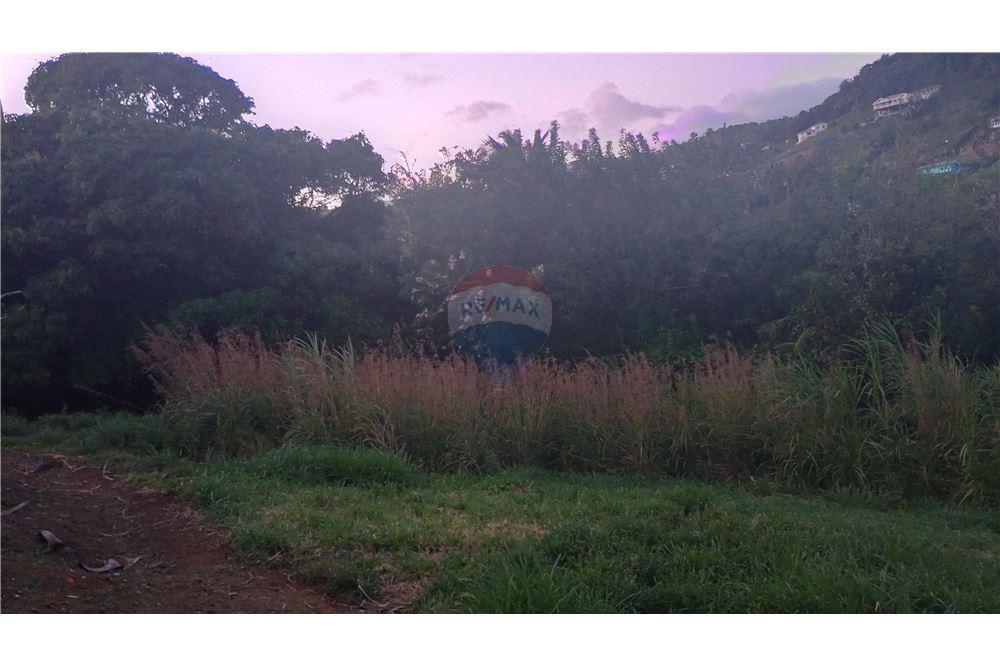 Commercieel - Grond - Diamond Village, St Vincent, St Vincent and the Grenadines - Caribbean & Central Ameri - 2 - 90109008-2