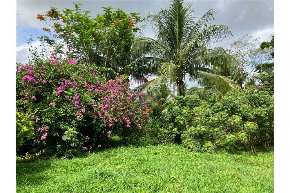 Commercial - Land - Red Bank, Stann Creek District, Belize - Caribbean & Central Ameri - 3 - 90127016-278