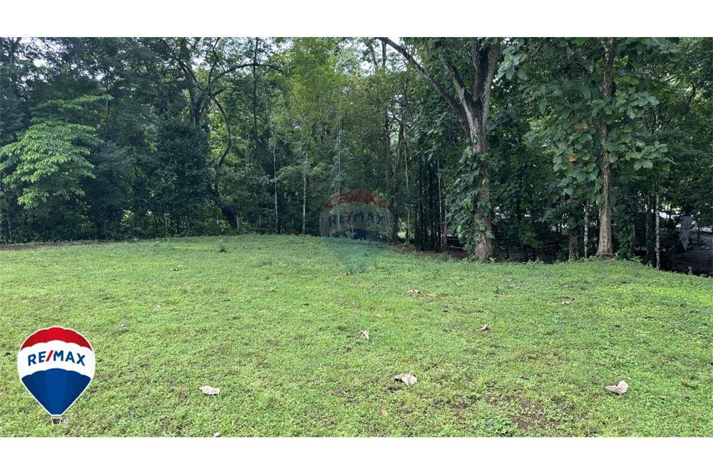 Commercio - Terreno - San José, San José, Costa Rica - Caribbean & Central Ameri - 14 - 90168030-67