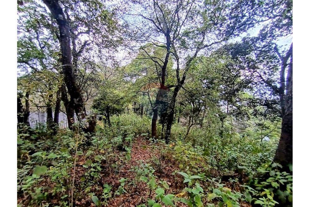 Lote - Venta - La Antigua Guatemala, Sacatepéquez, Guatemala - 2 - 90129016-50