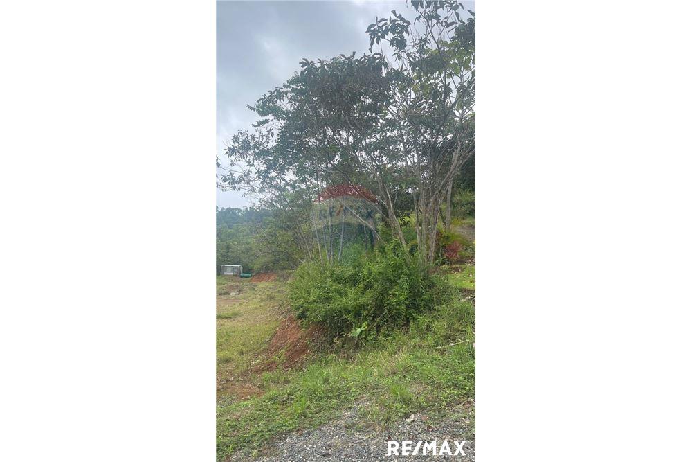 商业 - 土地 - Jaco - Playa Hermosa, Puntarenas- Garabito, 哥斯达黎加 - Caribbean & Central Ameri - 2 - 90168045-18