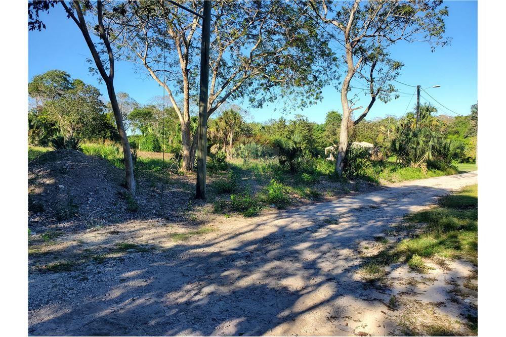 Commercio - Terreno - Ranchito, Corozal District, Belize - Caribbean & Central Ameri - 11 - 901411007-89