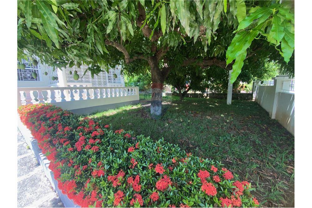 Villa - Venta - Morant Bay, Saint Thomas, Jamaica - 5 - 90153043-150