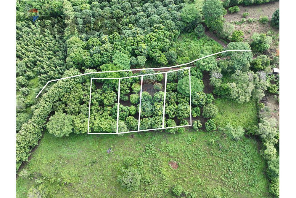 Land - For Sale - Guazapa, San Salvador, El Salvador - 2 - 902331017-91