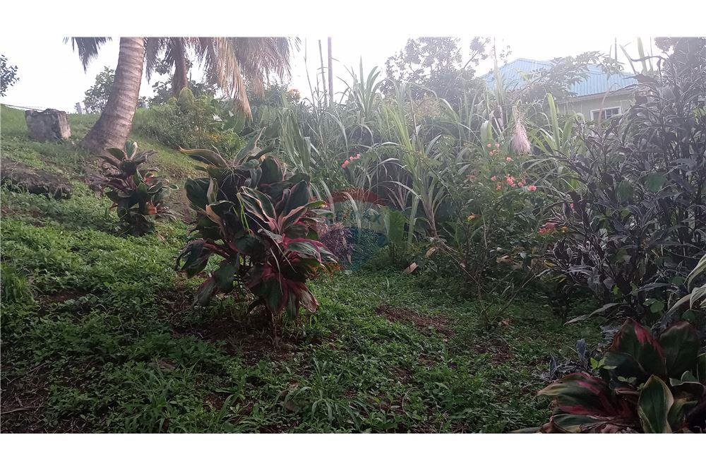 商业 - 土地 - Gomea, St Vincent, St Vincent and the Grenadines - Caribbean & Central Ameri - 6 - 90109008-7