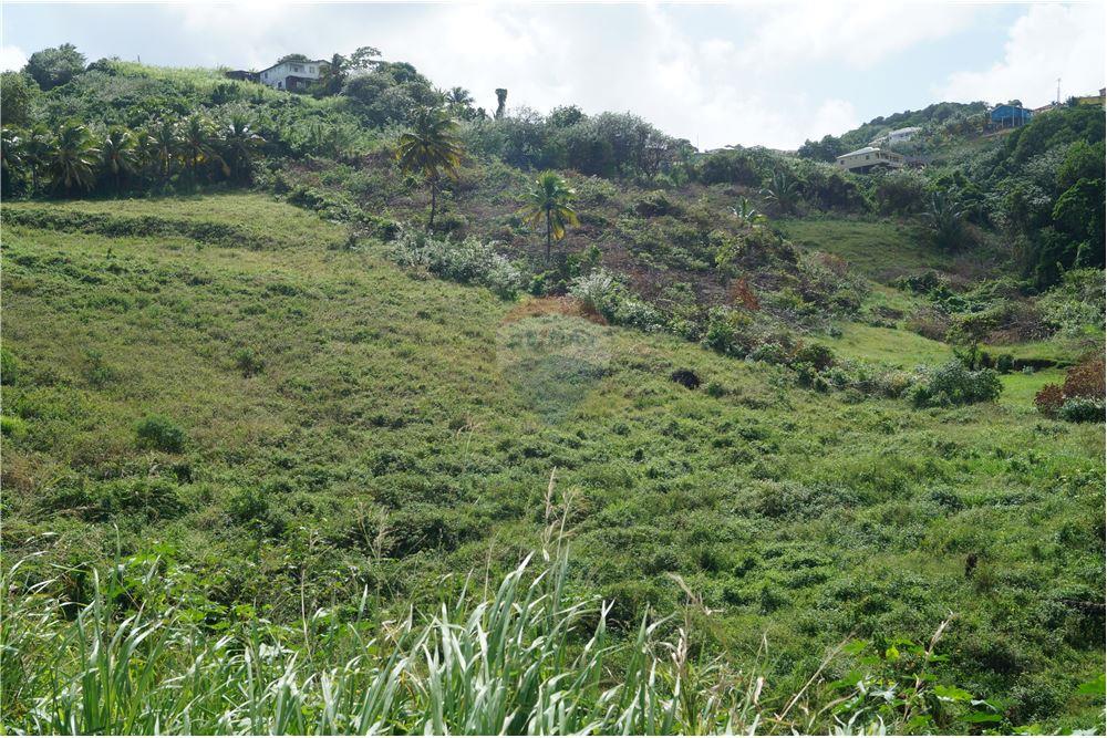 Comercial - Terrenos - Argyle, St Vincent, St Vincent and the Grenadines - Caribbean & Central Ameri - 12 - 90109001-309