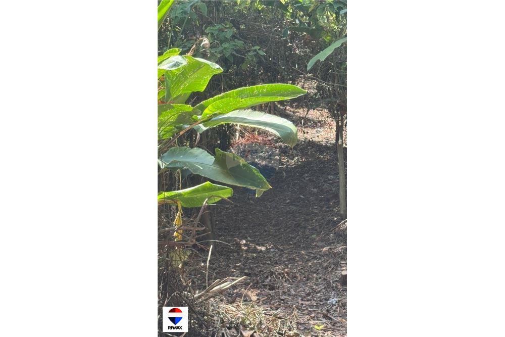 Comercial - Terrenos - Tarcoles - Quebrada Ganado, Puntarenas- Garabito, Costa Rica - Caribbean & Central Ameri - 15 - 90168030-59