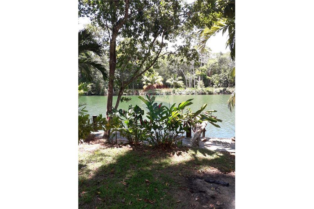 Commercial - Land - Hopkins, Stann Creek District, Belize - Caribbean & Central Ameri - 2 - 90127003-288