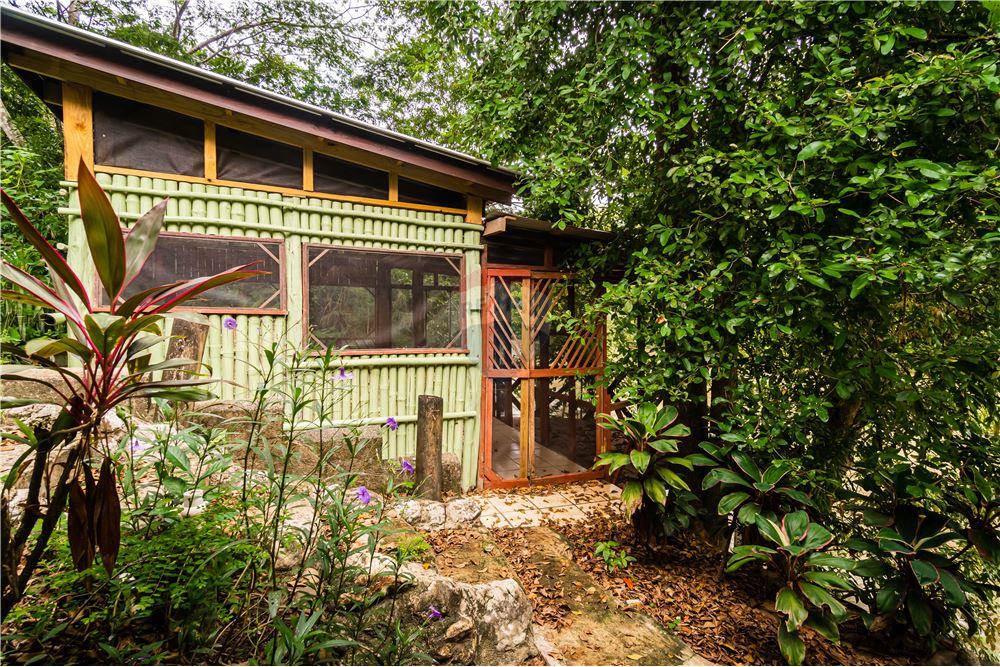 Residential - Villa - Bullet Tree Falls, Cayo District, Belize - Caribbean & Central Ameri - 15 - 90127003-300