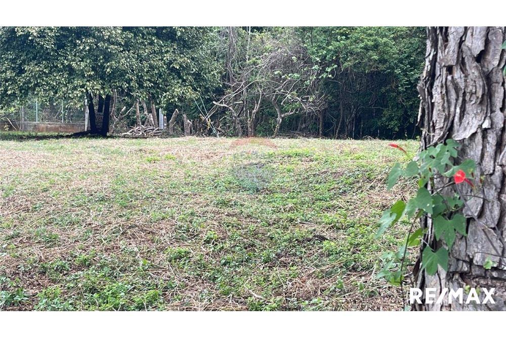 Commercio - Terreno - Puntarenas, Puntarenas - Puntarenas, Costa Rica - Caribbean & Central Ameri - 3 - 90168045-6