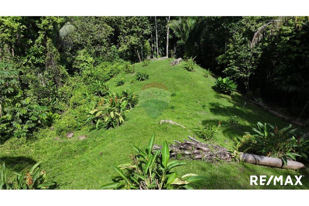 Comercial - Terreno - Parrita, Puntarenas - Parrita, Costa Rica - Caribbean & Central Ameri - 16 - 90168045-21