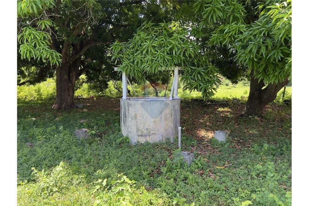 Commercial - Commercial/Retail - Rivas, Rivas, Nicaragua - Caribbean & Central Ameri - 13 - 90119008-101