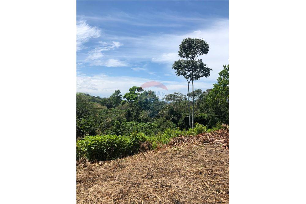 Commercio - Terreno - Puntarenas, Puntarenas - Puntarenas, Costa Rica - Caribbean & Central Ameri - 5 - 90168026-87