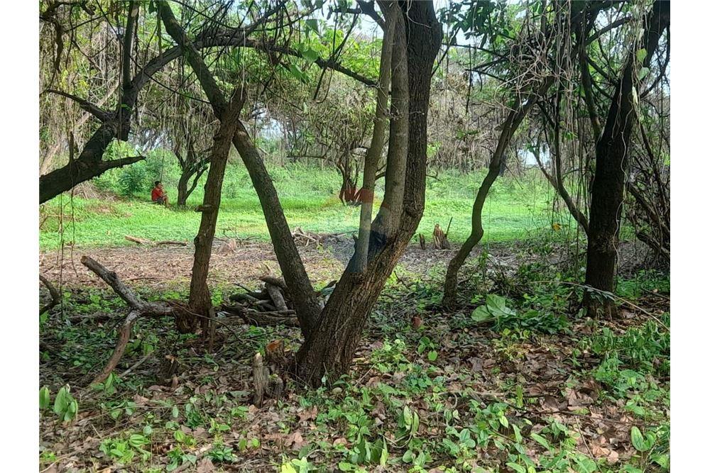 Grondstuk - Te Koop - Escuintla, Escuintla, Guatemala - 1 - 902691005-34