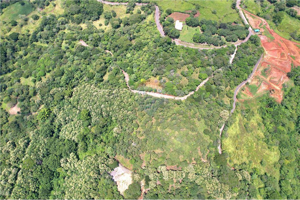 Commercial - Land - Atenas, Alajuela- Atenas, Costa Rica - Caribbean & Central Ameri - 2 - 90128007-183