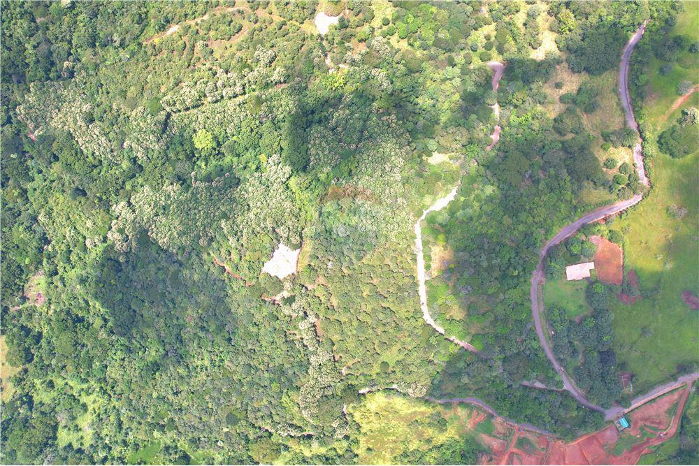 Commercial - Land - Atenas, Alajuela- Atenas, Costa Rica - Caribbean & Central Ameri - 8 - 90128007-183