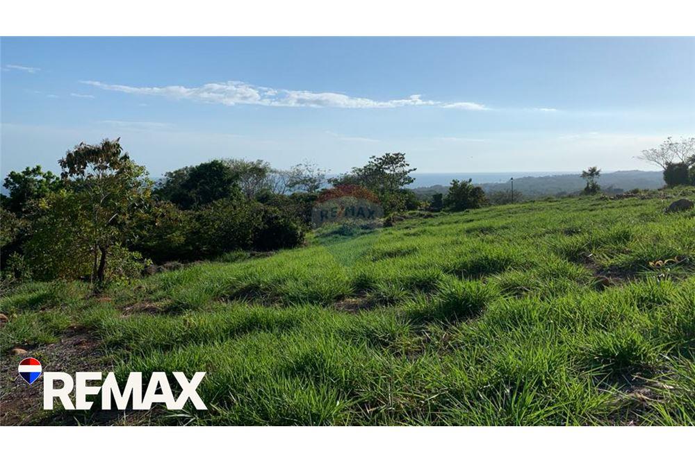 商业 - 土地 - Parrita - Esterillos, Puntarenas - Parrita, 哥斯达黎加 - Caribbean & Central Ameri - 12 - 90168013-172