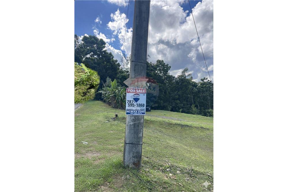 Land - For Sale - Vega Baja, Vega Baja, Puerto Rico - 12 - 90156053-35