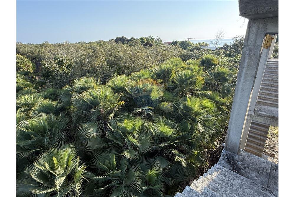 Residential - Villa - Placencia, Stann Creek District, Belize - Caribbean & Central Ameri - 11 - 90127023-353