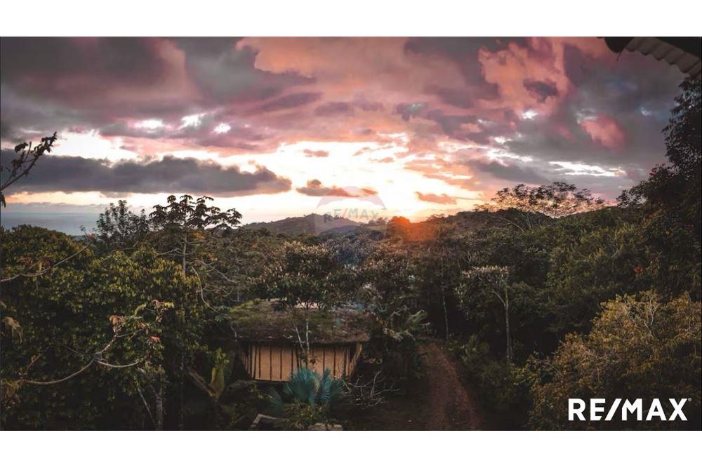 住宅 - 别墅 - Jaco - Playa Hermosa, Puntarenas- Garabito, 哥斯达黎加 - Caribbean & Central Ameri - 1 - 90168045-17