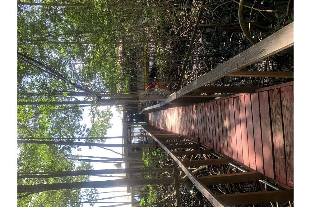 Commercial - Land - Marigot Bay, Castries, St Lucia - Caribbean & Central Ameri - 8 - 902071001-202