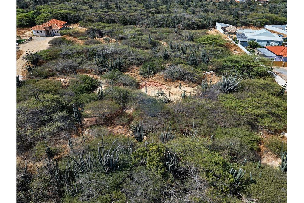 Land - For Sale - Santa Cruz, Aruba, Aruba - 14 - 90105005-512