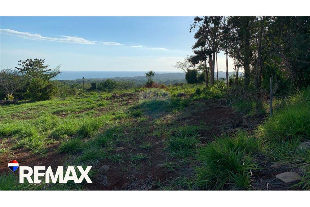 商业 - 土地 - Parrita - Esterillos, Puntarenas - Parrita, 哥斯达黎加 - Caribbean & Central Ameri - 11 - 90168013-172