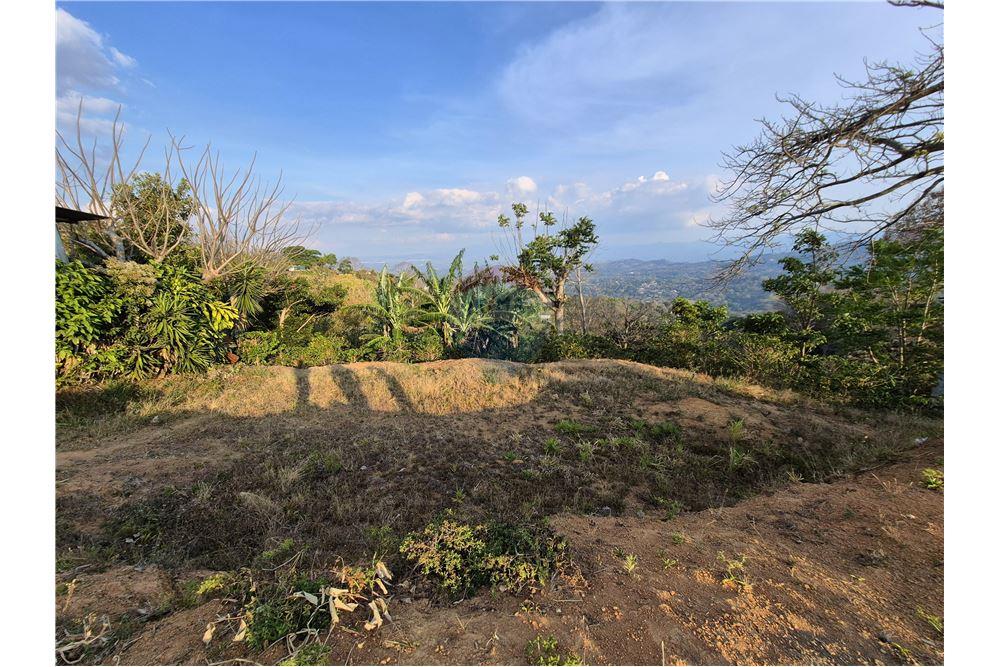 Commercial - Land - Atenas, Alajuela- Atenas, Costa Rica - Caribbean & Central Ameri - 4 - 90128007-166