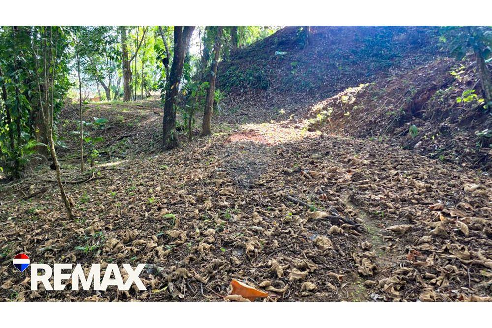 Commercio - Commerciale/Negozi - Jaco - Herradura, Puntarenas- Garabito, Costa Rica - Caribbean & Central Ameri - 2 - 90168013-183