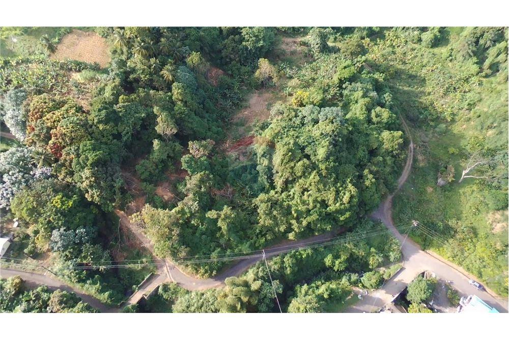 Comercial - Terrenos - Adelphi, St Vincent, St Vincent and the Grenadines - Caribbean & Central Ameri - 6 - 90109004-59