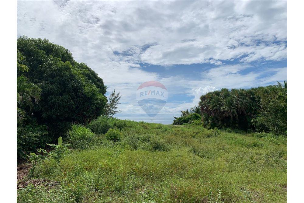 Commercial - Land - Placencia, Stann Creek District, Belize - Caribbean & Central Ameri - 3 - 90127023-379