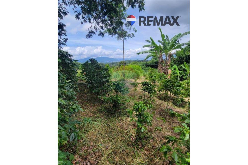 Grondstuk - Te Koop - San Martín, San Salvador, El Salvador - 7 - 902501008-22